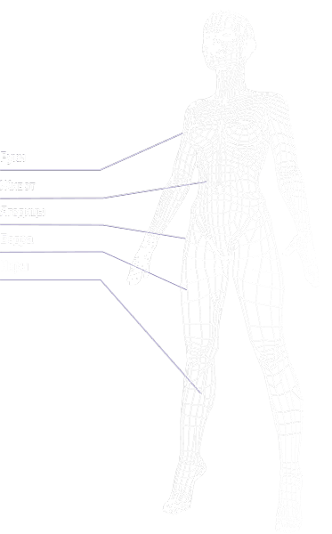 Зони, де проводять процедури електромагнітної стимуляції м'язів